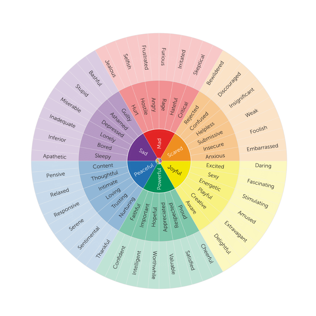 The Feelings wheel graphic